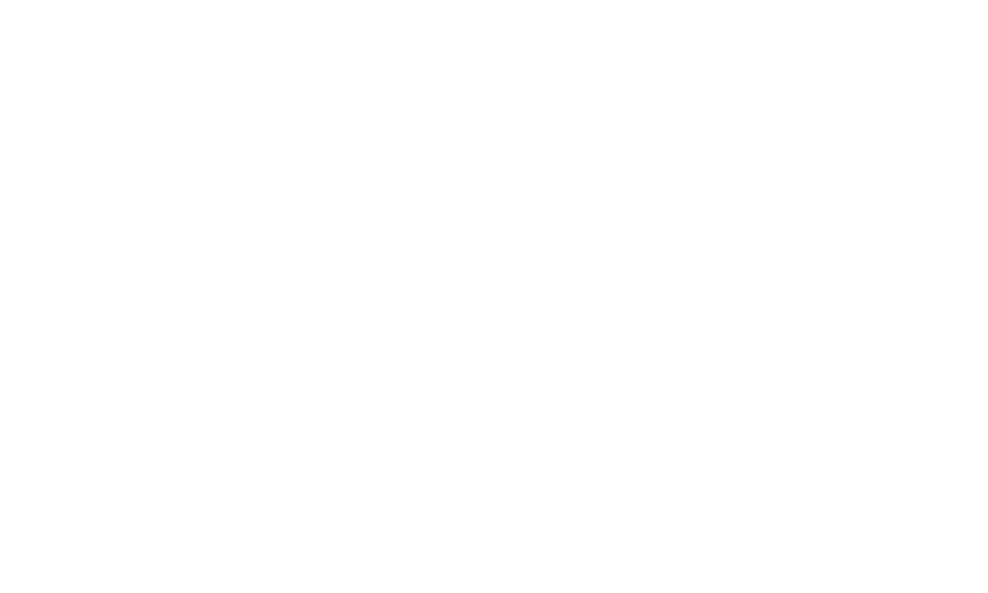 SDG